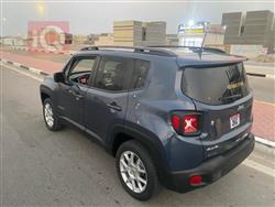 جيب رينيجيد